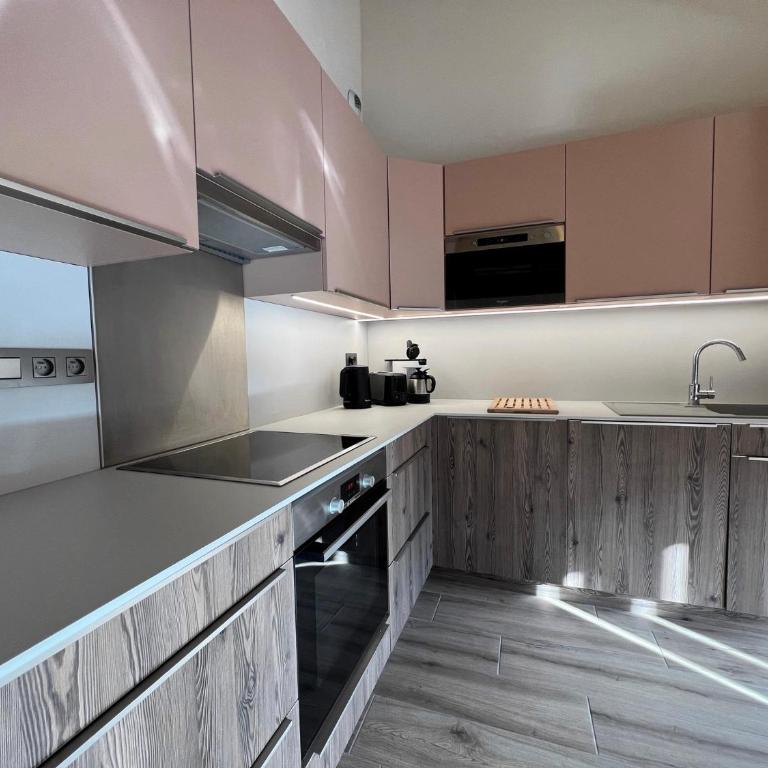 POLARIS Bel appartement village et pistes - Appartamento Deluxe - 4