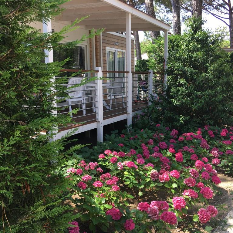 Dune Prestige & Chalets - Chalet con 2 Camere da Letto - 5