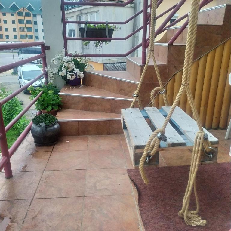 Apartmani Božana Vojinović - Studio - 24