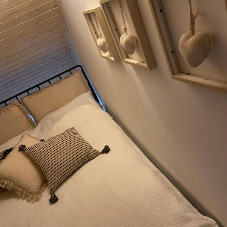 Studio Viline kose - Apartman sa 1 Spavaćom Sobom - 22