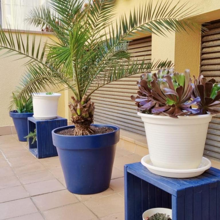Costa Brava-St Antoni de Calonge apartament per parelles i famílies petites - Apartamento de 1 dormitorio - 18