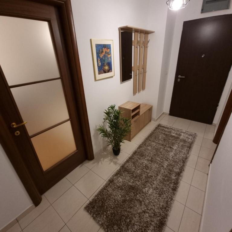 Big apartment - Three-Bedroom Apartment - 18