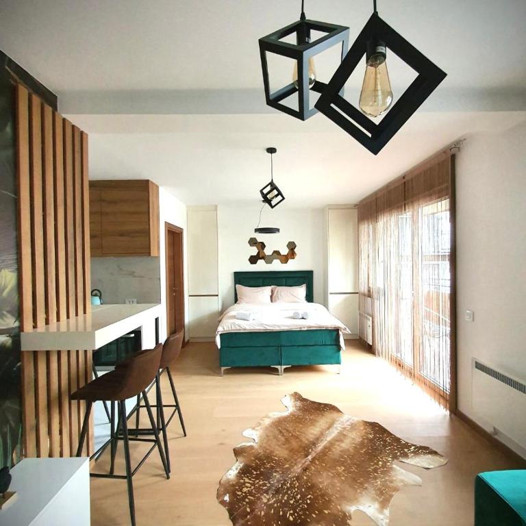 Apartman Pablo Zlatibor - One-Bedroom Apartment - 8
