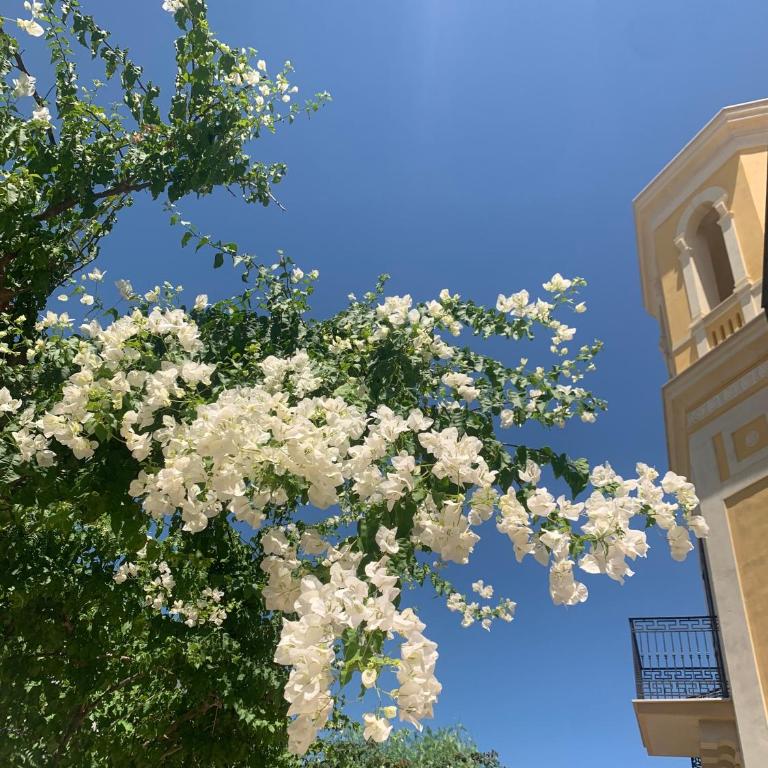 Villa Giada - Appartamento con Vista Giardino - 5