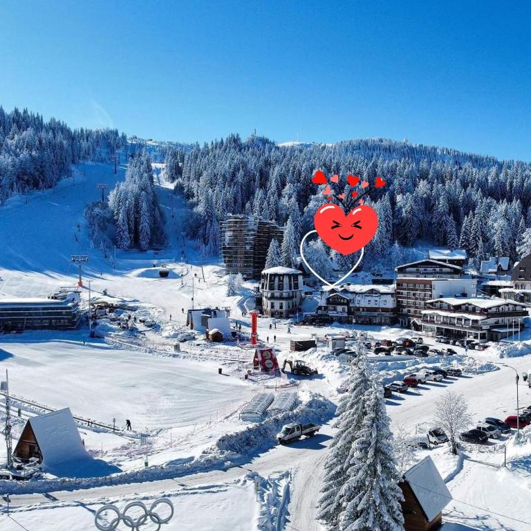 Čarobna Kuća Jahorina - Three-Bedroom House - 28