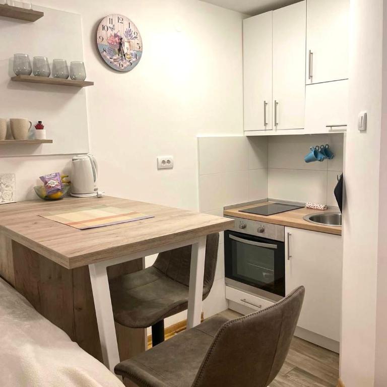 Alma Vracar - Apartman sa 1 Spavaćom Sobom - 24