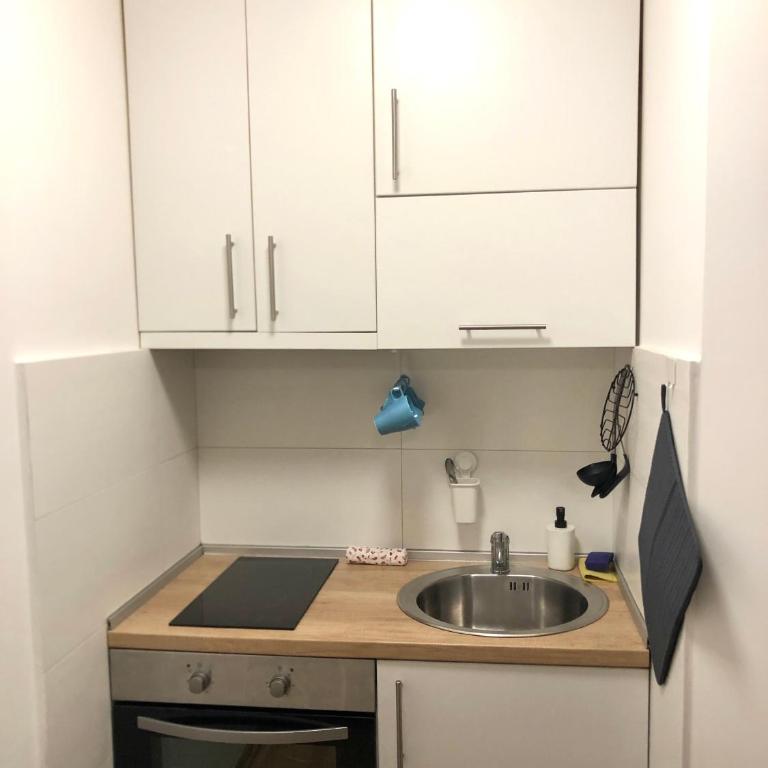 Alma Vracar - Apartman sa 1 Spavaćom Sobom - 32