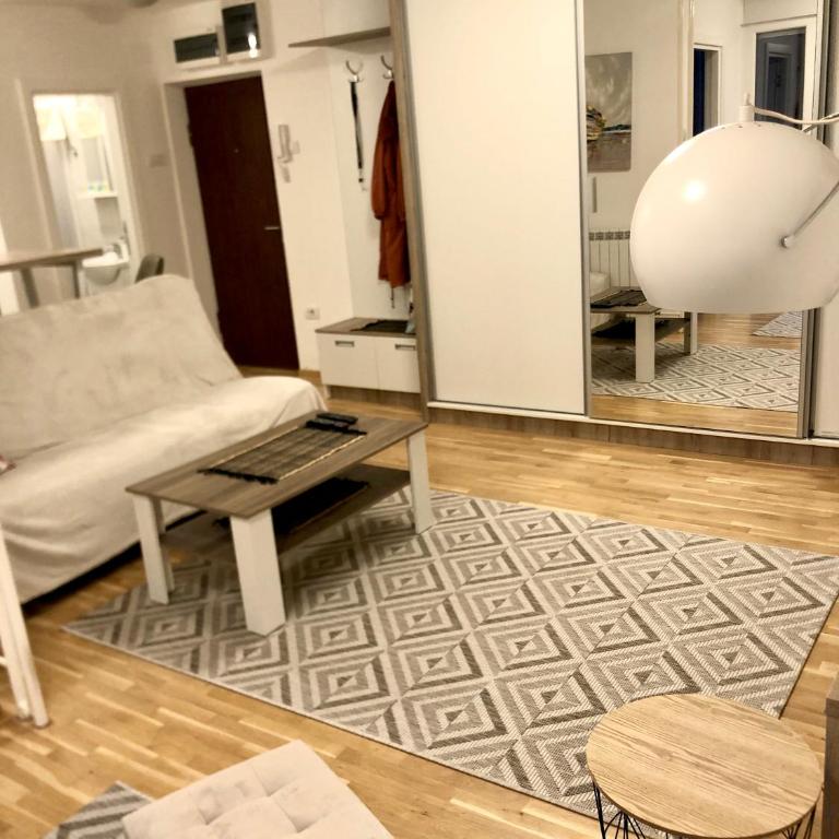Alma Vracar - Apartman sa 1 Spavaćom Sobom - 46