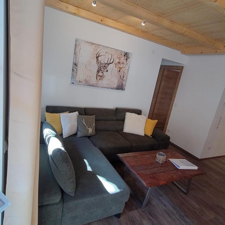 Hochalmbahnen Chalets 15W1, Birke, nahe Gondel, Hunde willkommen - Apartment mit 3 Schlafzimmern - 9
