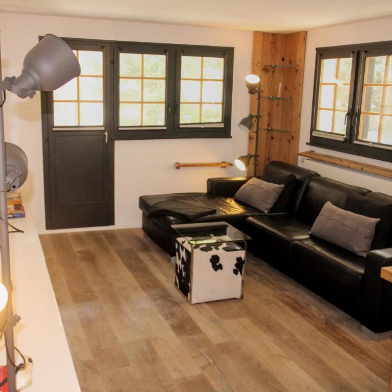 CAYA Bijou im Herzen von Zermatt - One-Bedroom Apartment - 30