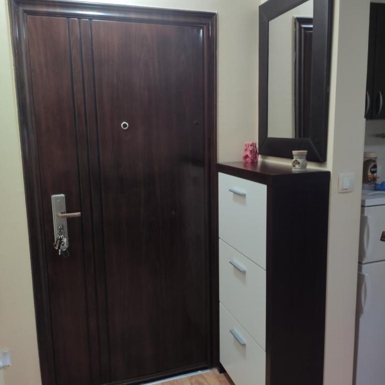 Zone Knezevac - Apartman sa 1 Spavaćom Sobom - 6