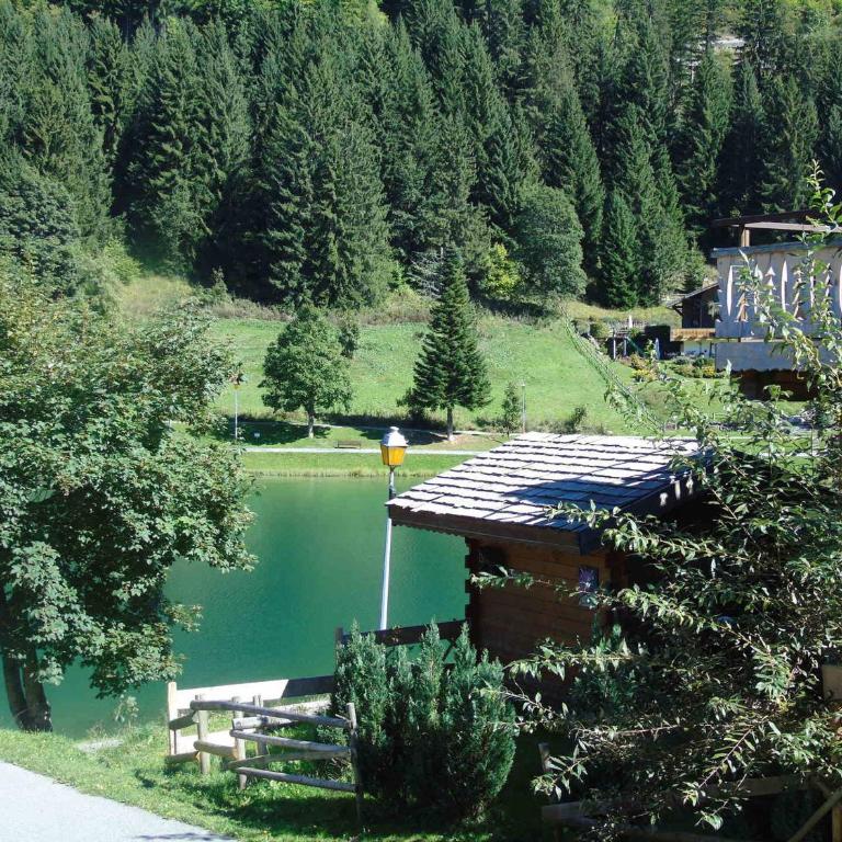Appartement cosy avec garage privé - 5 personnes à Châtel - FR-1-198-121 - Appartement (6 Adultes) - 5