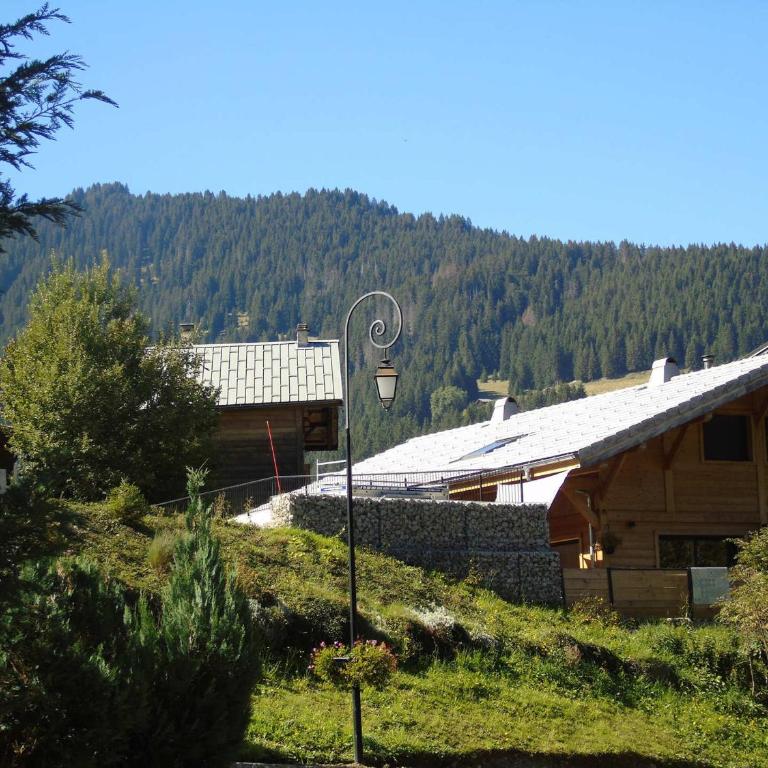 Appartement cosy avec garage privé - 5 personnes à Châtel - FR-1-198-121 - Appartement (6 Adultes) - 8