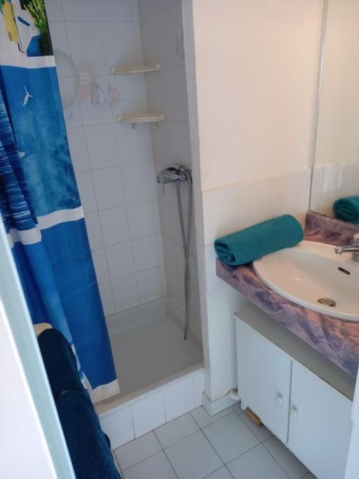 Amoureva F30, T2, parking, clim, piscine - Appartement 1 Chambre - 11