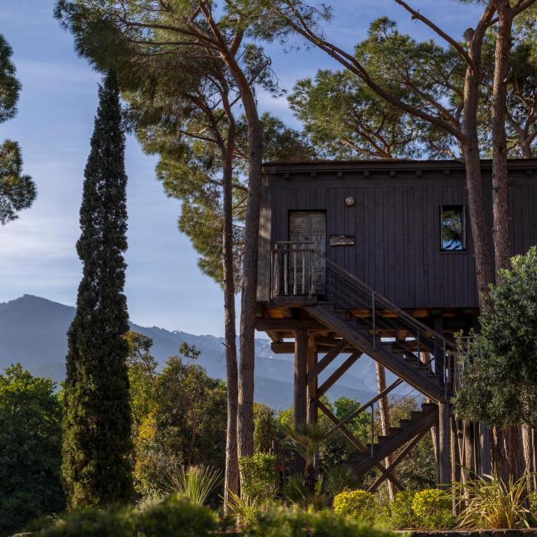 La Signoria & Spa - Cabane dans les Arbres - 7