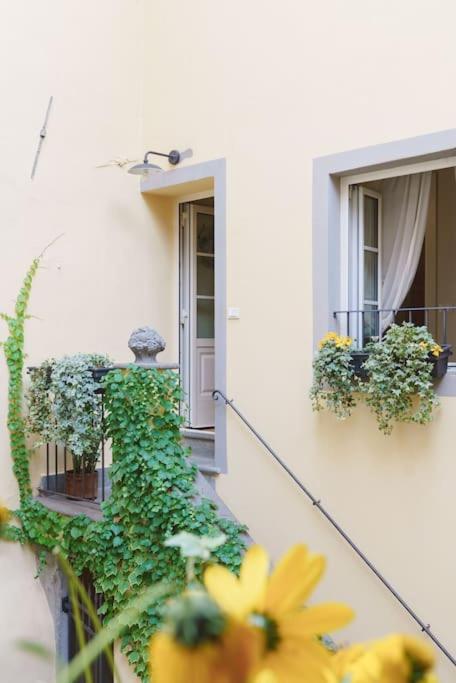 Corte Paolina - charming courtyard inside Lucca - Appartamento con 2 Camere da Letto - 30
