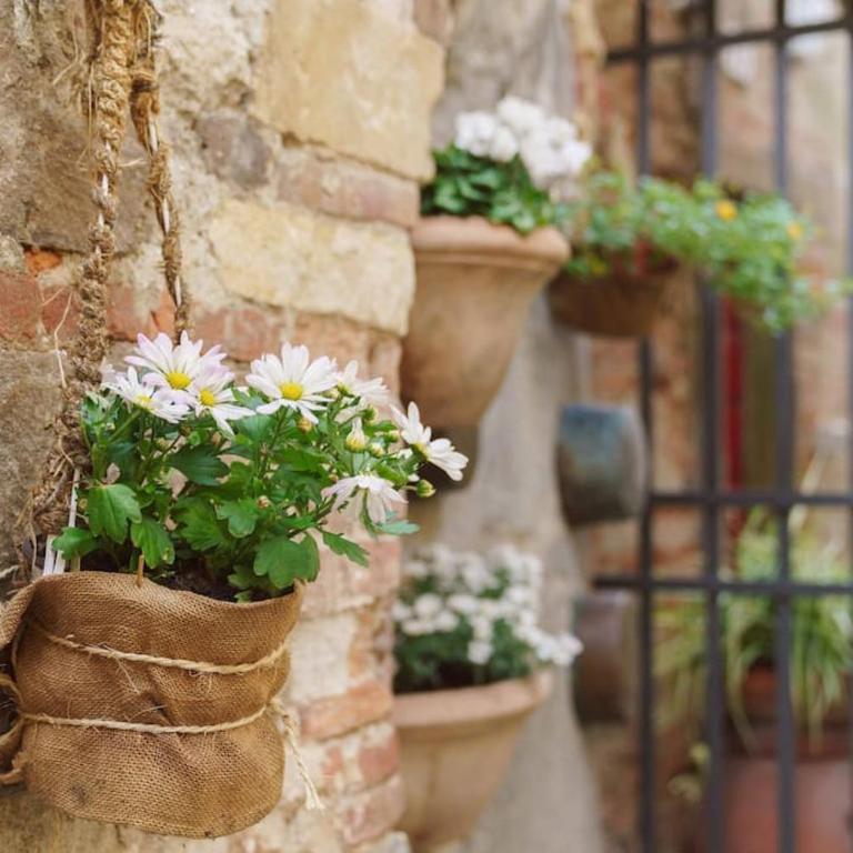 Corte Paolina - charming courtyard inside Lucca - Appartamento con 2 Camere da Letto - 35