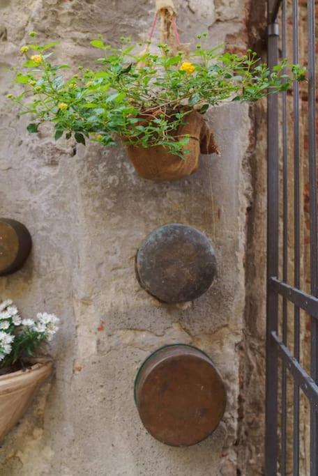 Corte Paolina - charming courtyard inside Lucca - Appartamento con 2 Camere da Letto - 34