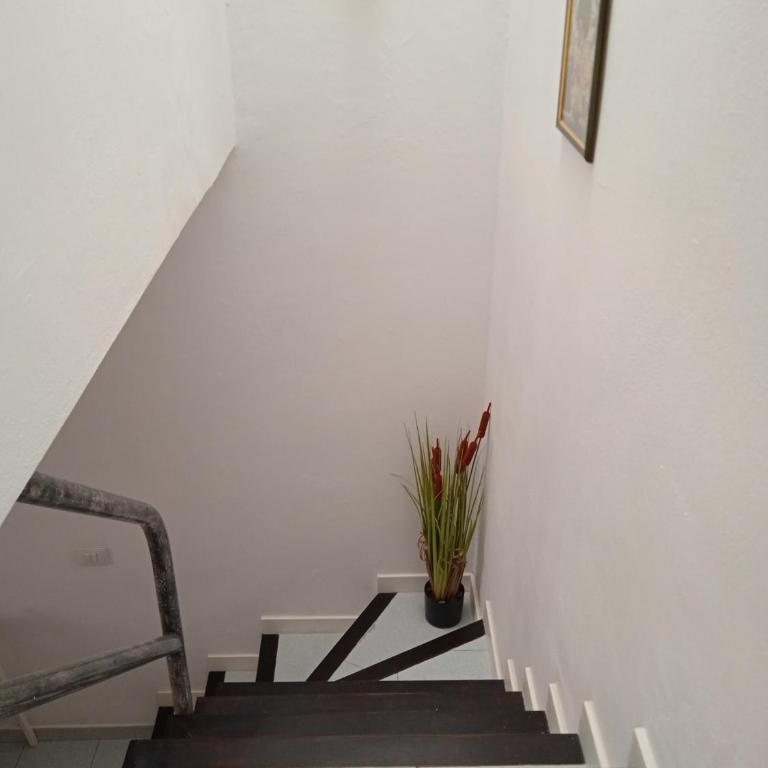 Bungalow Lella - Casa con 1 dormitorio - 14