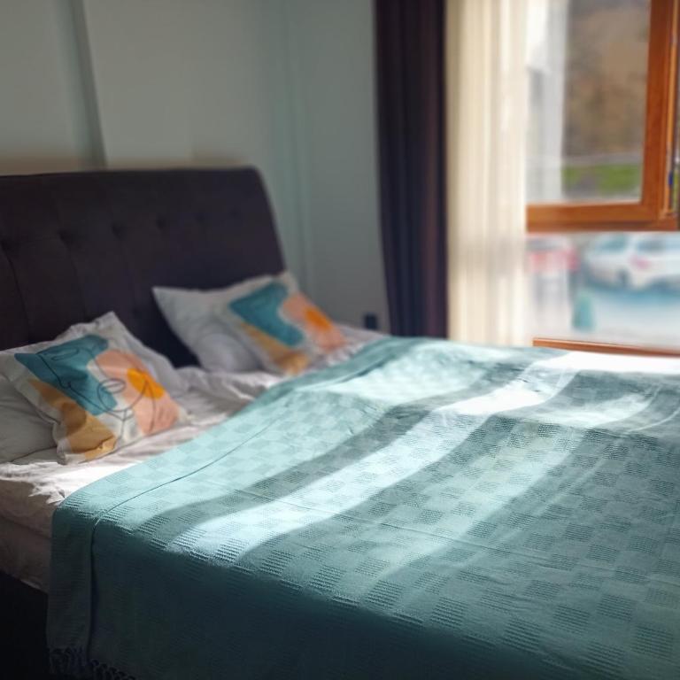 Vorkapich Milmari Studio - Apartman sa 1 Spavaćom Sobom - 11