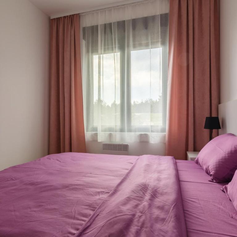 Zlatiborske Zore - Apartman sa 1 Spavaćom Sobom - 4