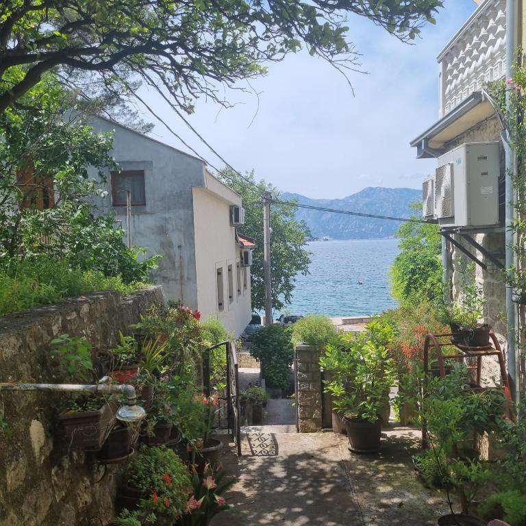 Studio on the coast, with a view of the sunrise,free we-fi - Apartman sa 1 Spavaćom Sobom - 14