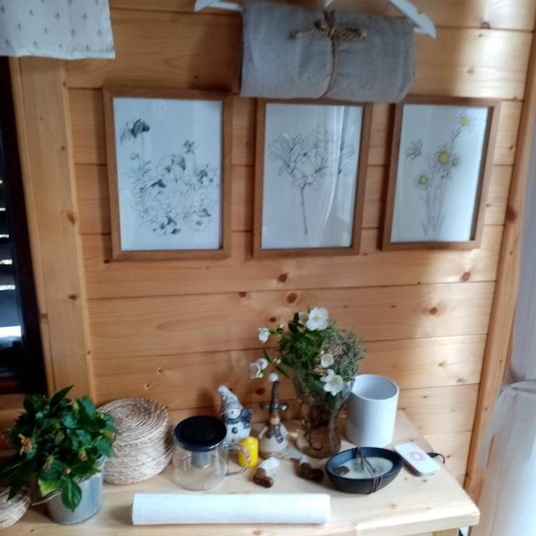 NIKOLIJA 2 - Apartman sa 1 Spavaćom Sobom - 3