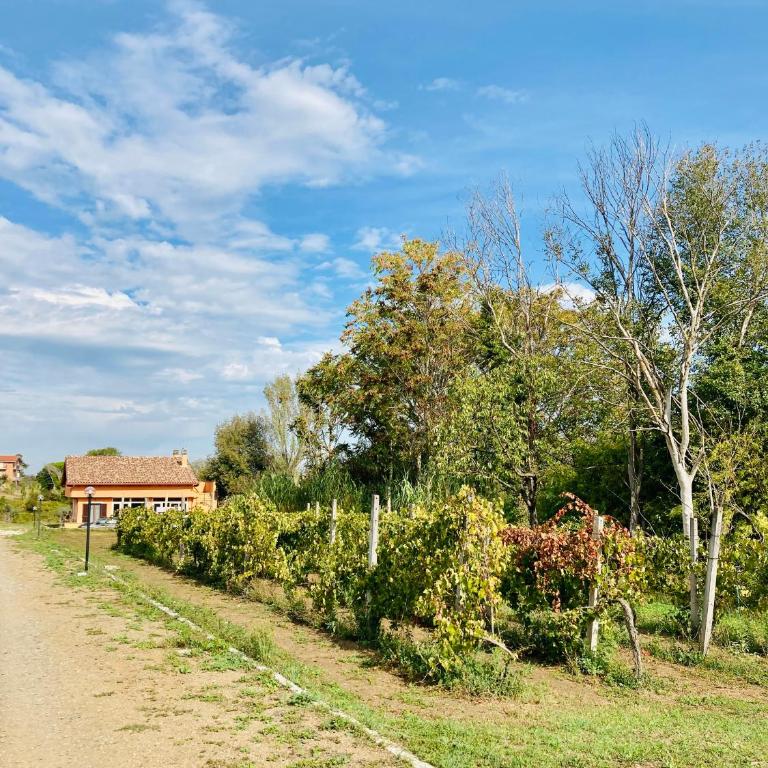 Villa Bubù, Appartamento Country-chic - Casa con 1 Camera da Letto - 16