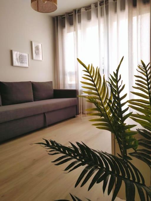 LA TERRAZA DE LA VEGA - Ubicación inmejorable , wifi , terraza y parking gratuito - Apartamento de 1 dormitorio - 7