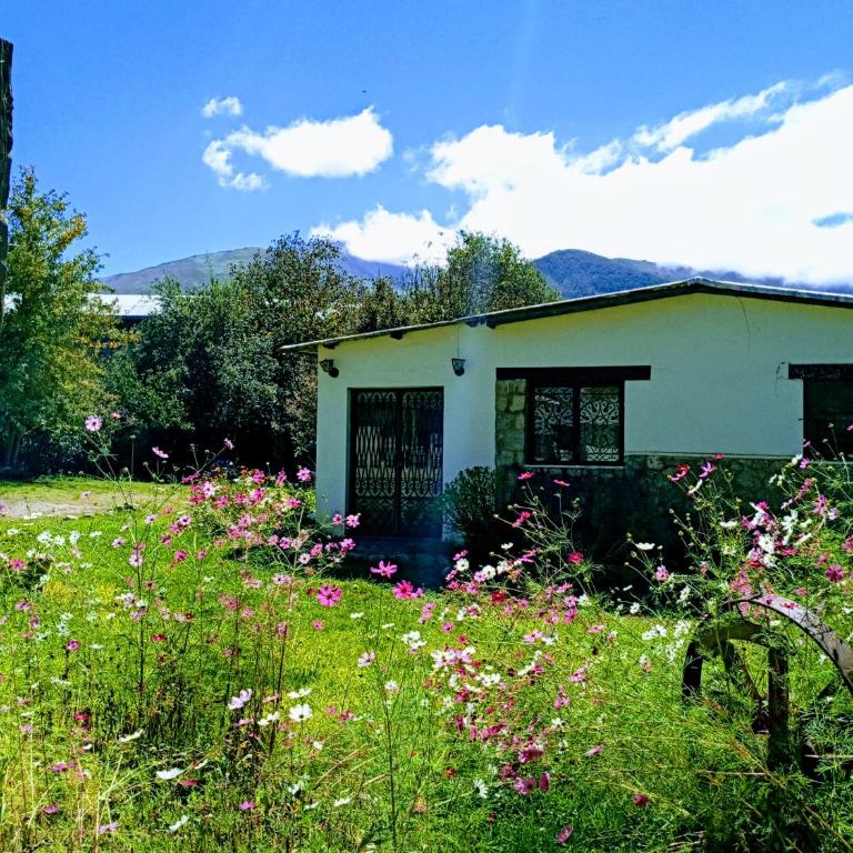 la Casa de Susana - Quadruple Room - 1