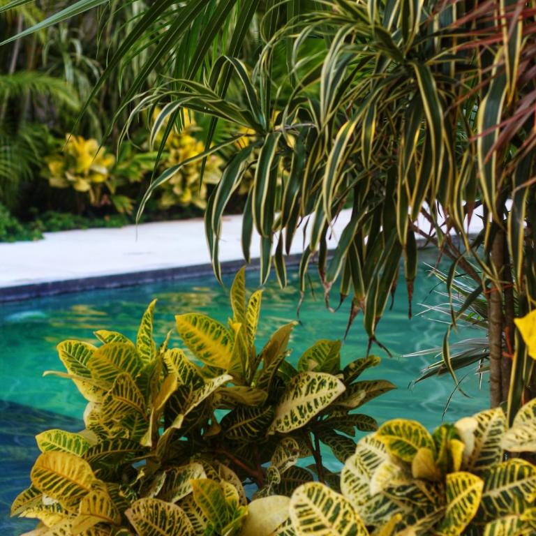 Heart & Soul PH Suite Tulum - Apartamento de 1 dormitorio - 11