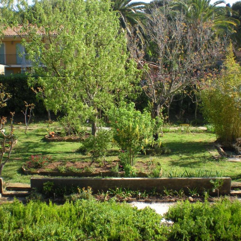 Hôtel Les Palmiers - Chambre Double - Vue sur Jardin - 1