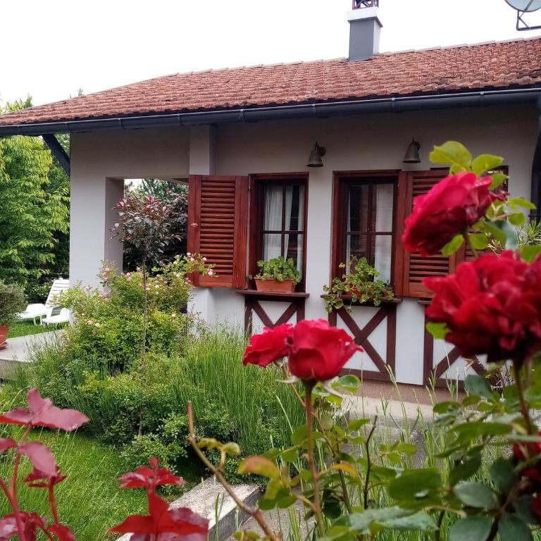 NIKOLIJA 1 - Apartman sa 1 Spavaćom Sobom - 5
