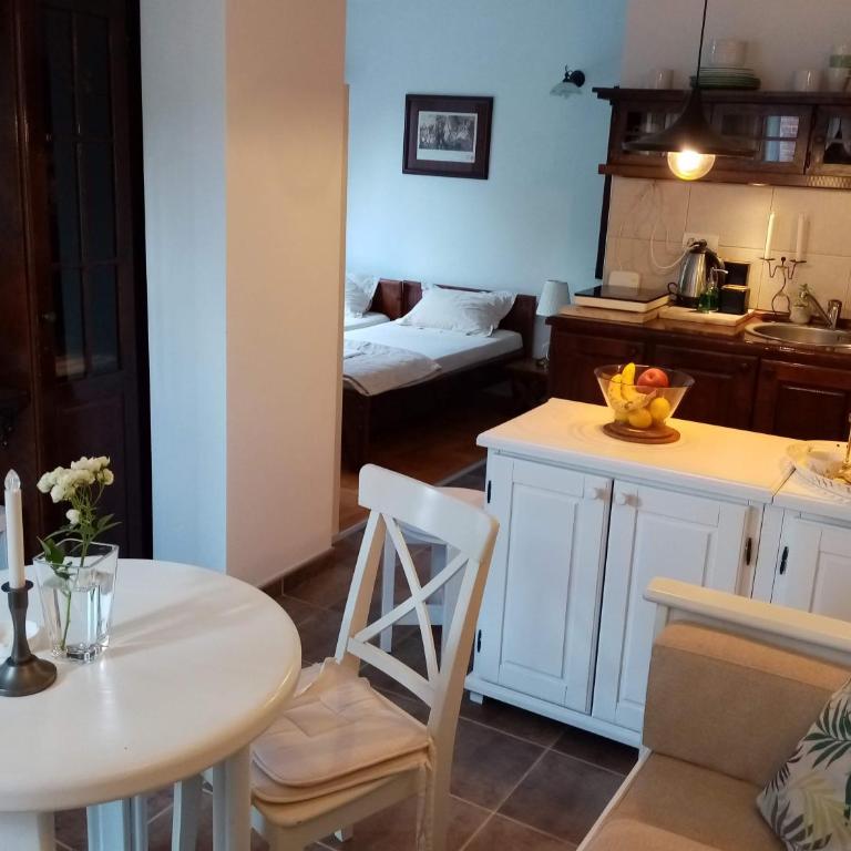 NIKOLIJA 1 - Apartman sa 1 Spavaćom Sobom - 10