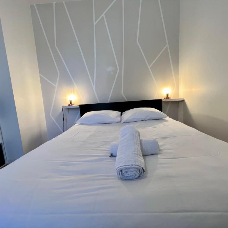 LE VICTOR HUGO - Wifi - Centre ville - PROPERTY RENTAL NM - Appartamento Superior - 30