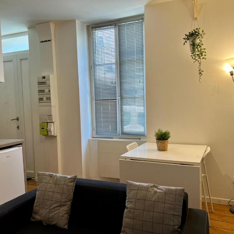 LE VICTOR HUGO - Wifi - Centre ville - PROPERTY RENTAL NM - Appartamento Superior - 28