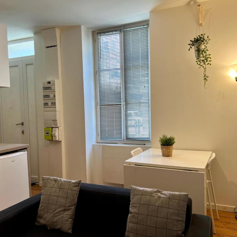 LE VICTOR HUGO - Wifi - Centre ville - PROPERTY RENTAL NM - Appartamento Superior - 33