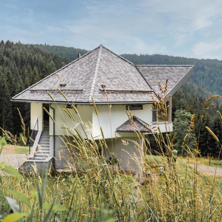 Forsthaus Gray 4 - Ferienhaus - 1