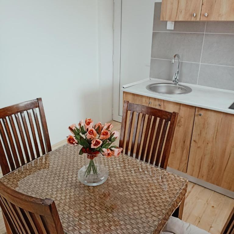 Vila Gala - Apartman sa 1 Spavaćom Sobom - 7