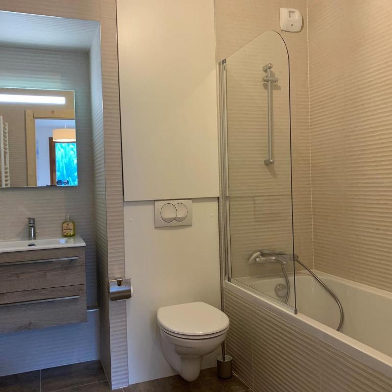 Superbe 2 pièces à Châtel avec garage privatif - FR-1-198-239 - Apartment - 7