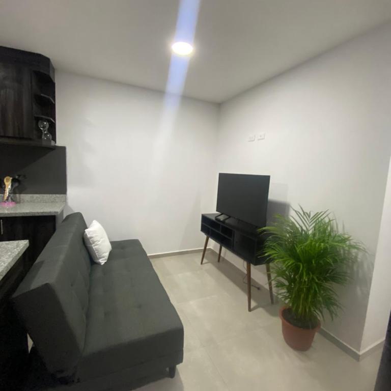 Lindo Dep excelente ubicación - Apartamento de 2 dormitorios - 13