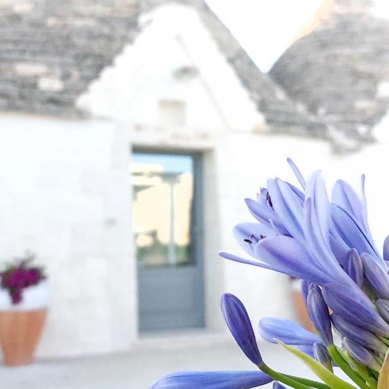 Trullo La chicca della valle - Appartamento - Piano Terra - 35