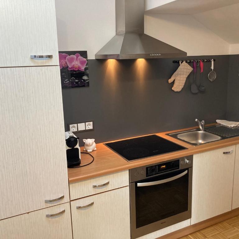 Haus Haslach - Apartment Big One 65 m² - 5