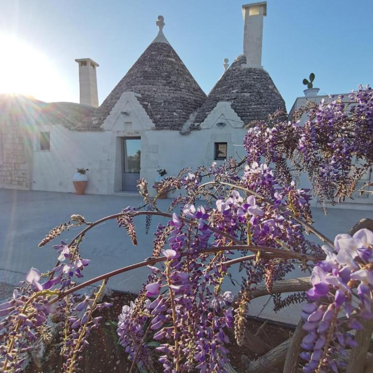 Trullo La chicca della valle - Appartamento - Piano Terra - 1
