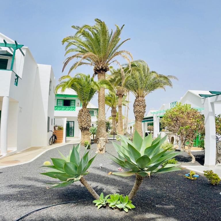 APARTAMENTO SAN FERMINO - One-Bedroom Apartment - 14