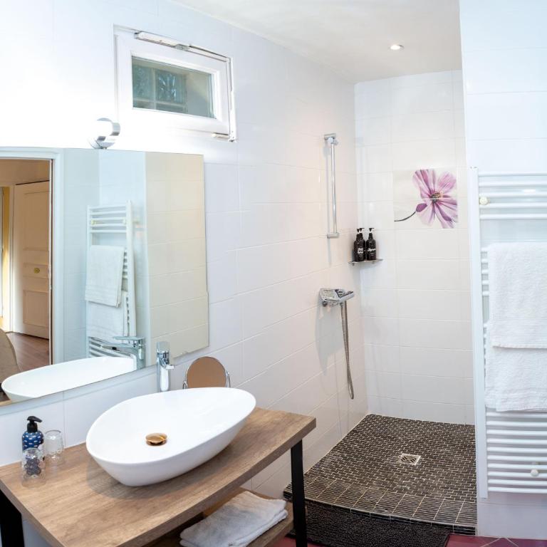 HOTEL DES DAUPHINS - Chambre Double - Vue sur Piscine - 5