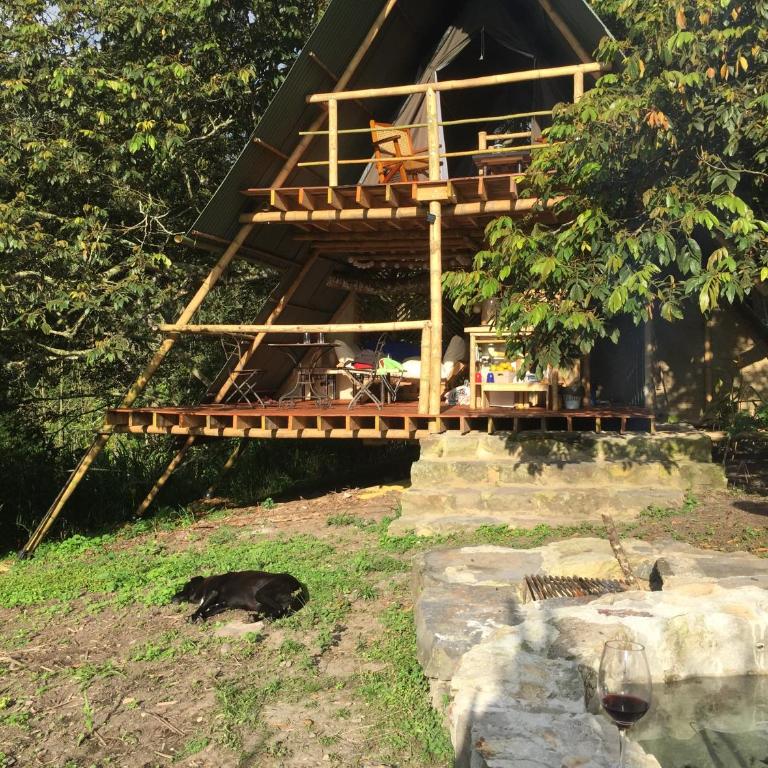Glamping El Árbol en la Casa - Casa con 1 dormitorio - 2