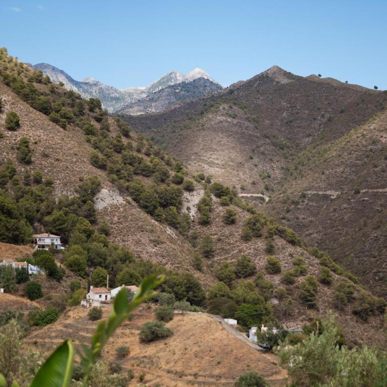 Casa Calmante - Stunning 3-bedroom Villa with Private Pool - Villa de 3 dormitorios - 63