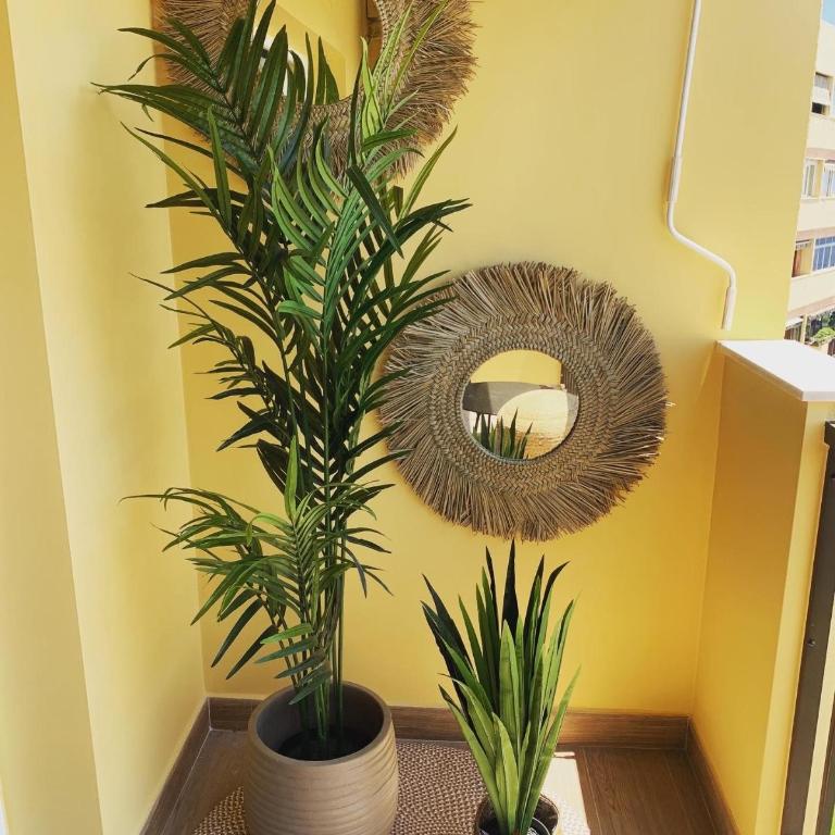 Don Gustavo Modern Apartment, Sea Views & Pool - One-Bedroom Apartment - 5