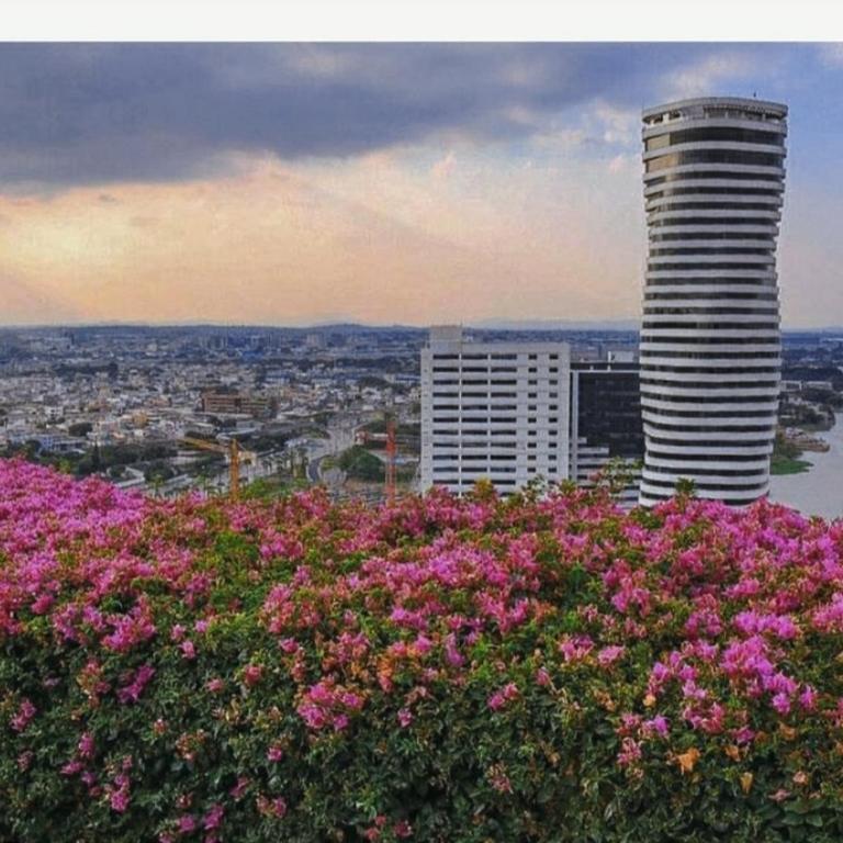Ecusuites Room 44 bellini Gye Santa Ana - Single Room with Sea View - 6